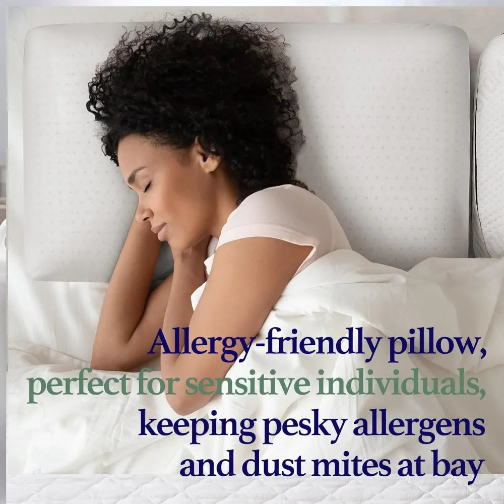 Pillow Talalay Natural Latex With Removable Cotton Cover