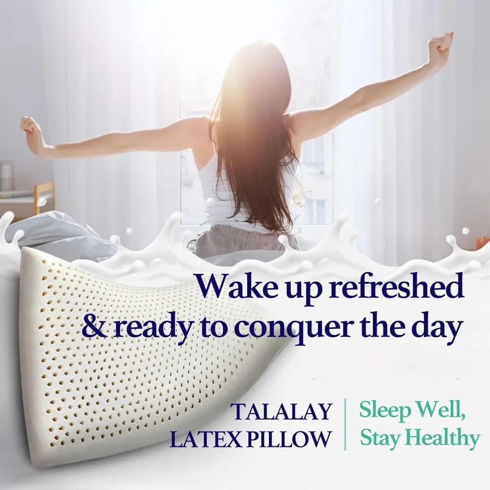Pillow Talalay Natural Latex With Removable Cotton Cover