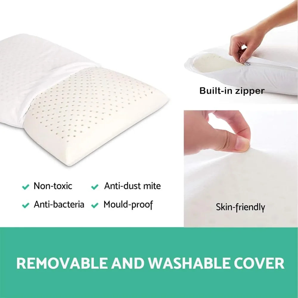 Pillow Talalay Natural Latex With Removable Cotton Cover