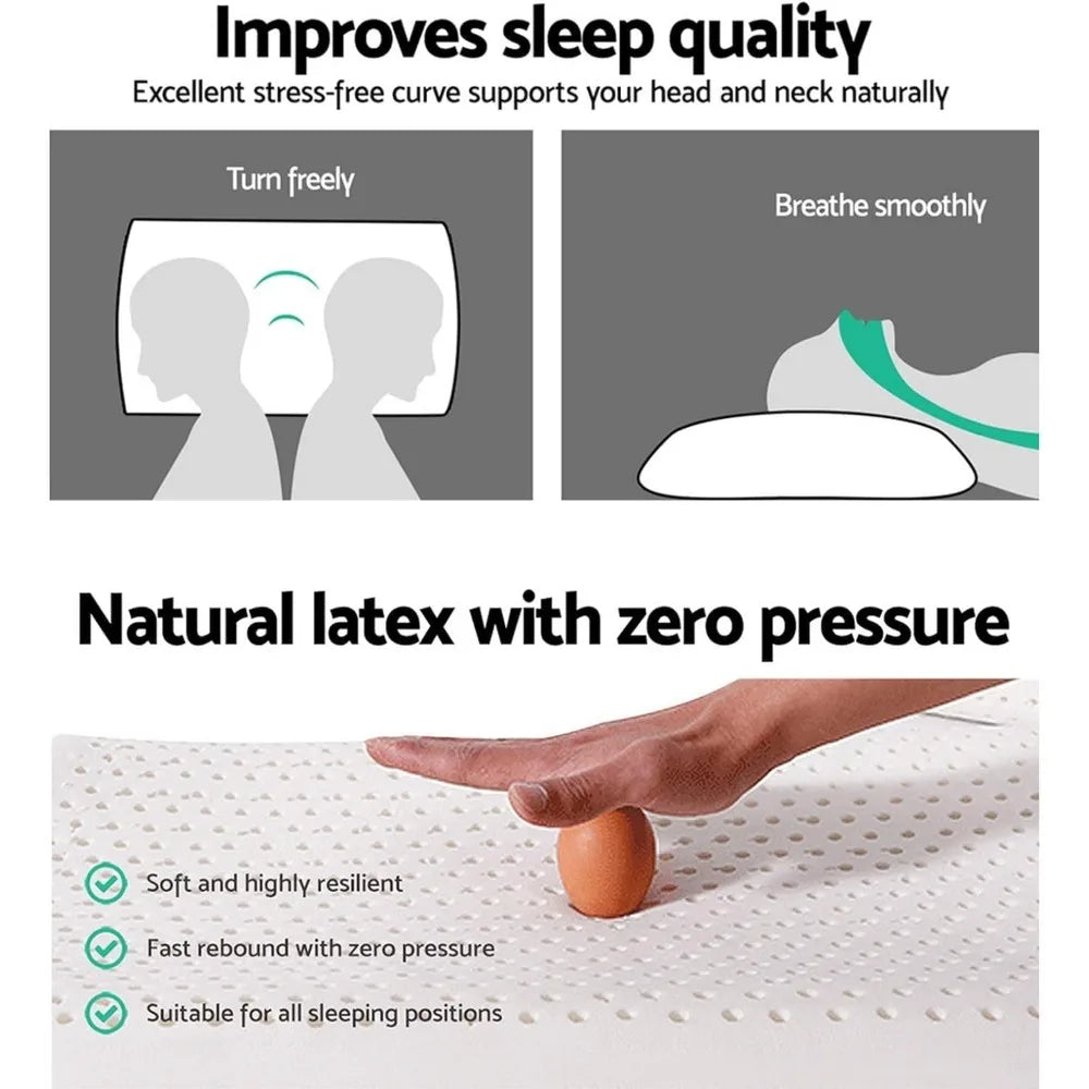 Pillow Talalay Natural Latex With Removable Cotton Cover